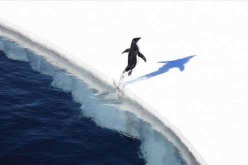 Degelo da Antartica e 10 vezes mais rapido